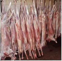 冷冻羊肉批发 冷冻羊肉价格