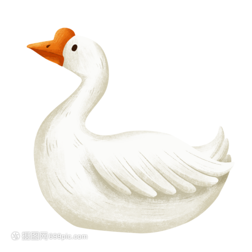 大鹅